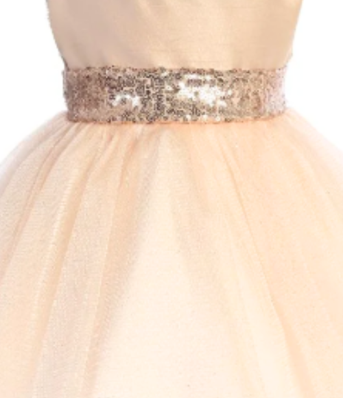Blush & Rose Gold Baby Dress