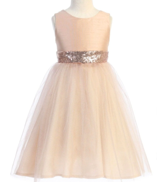 Blush & Rose Gold Girls Dress