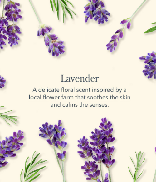 Beekman 1806 Lavender Goat Milk Hand Cream