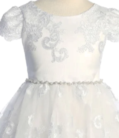 Embellished Lace Sleeve Girls Dress