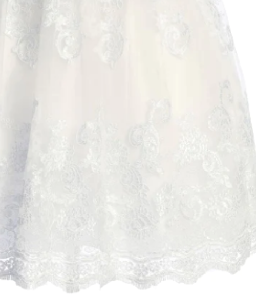 Embellished Lace Sleeve Girls Dress