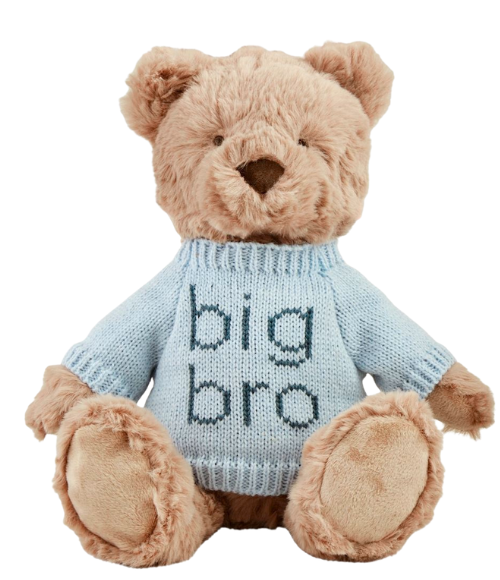 Big Bro & Big Sis Teddy Bear