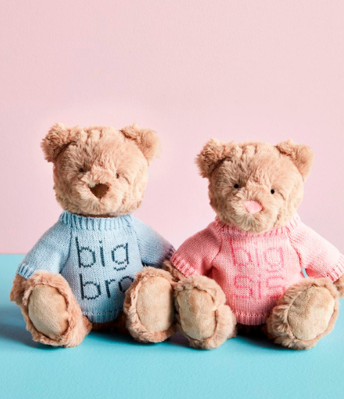 Big Bro & Big Sis Teddy Bear