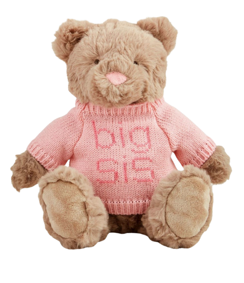 Big Bro & Big Sis Teddy Bear