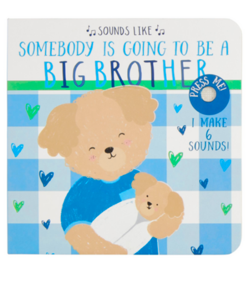 Big Brother Book Big Brother Book