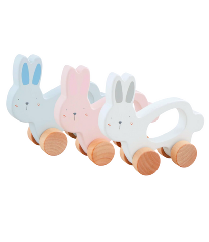 Bunny on Wheels