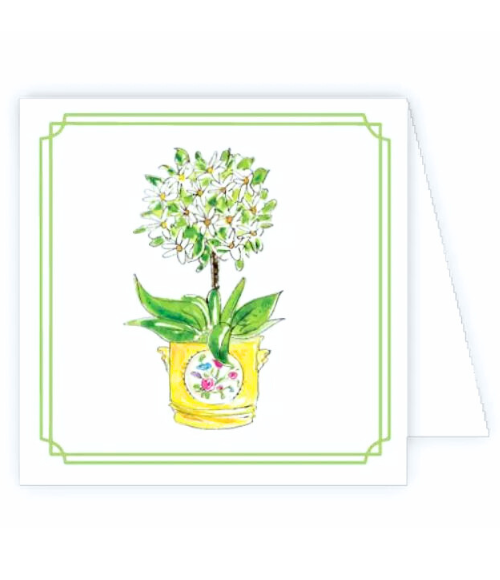 Floral Cache Pots Enclosure Cards Boxed Set