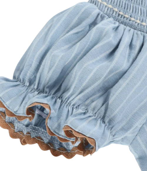 Light Blue Puppy Smocked Bishop Dress