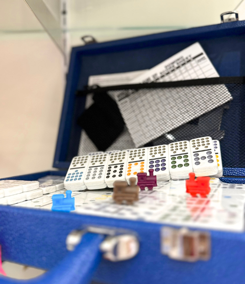 Mexican Train Dominoes Set