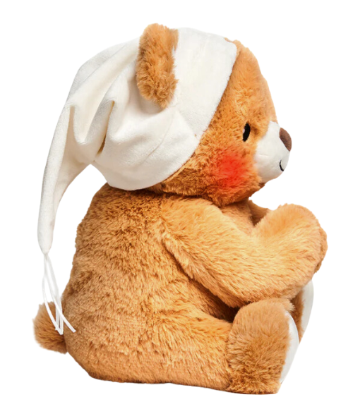 Paws for Prayer Talking Bear