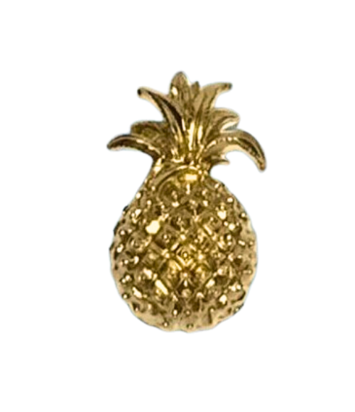 Clear Pineapple Cocktail Napkin Box