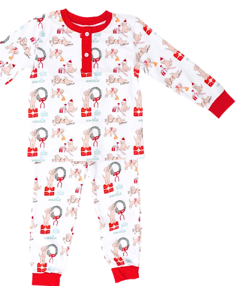 Santa Paws Gift Lounge Set