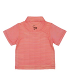 The Little Blanco Polo