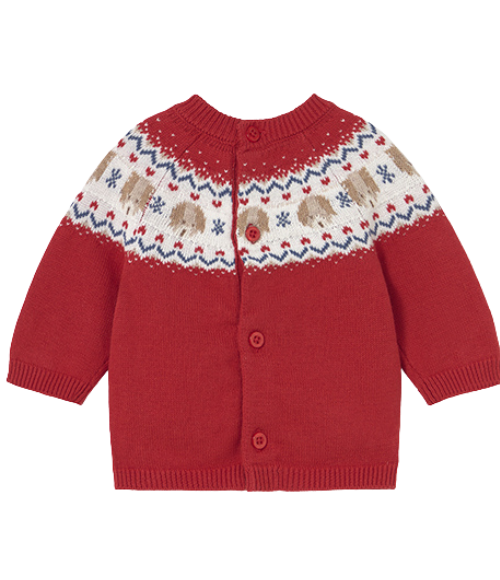 Chery Red Puppy Sweater