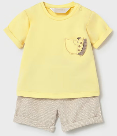 Playful Giraffe Shorts Set