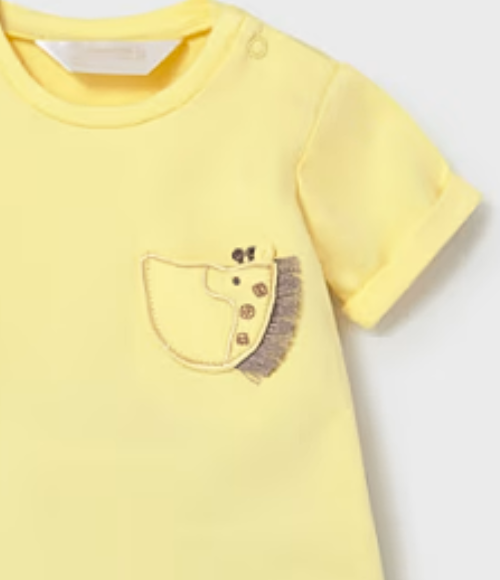 Playful Giraffe Shorts Set