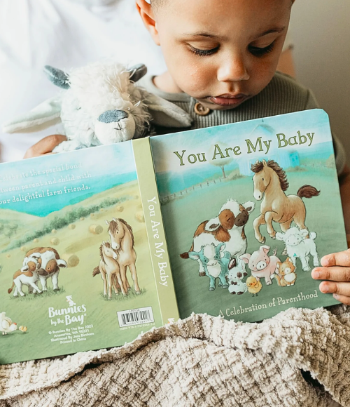 You Are My Baby Board Book