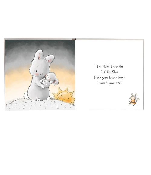 Little Star Baby Book