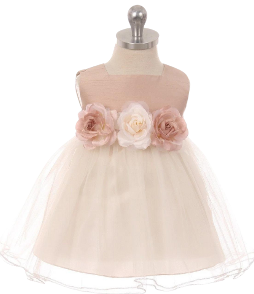 Vintage Rose Tulle Baby Dress