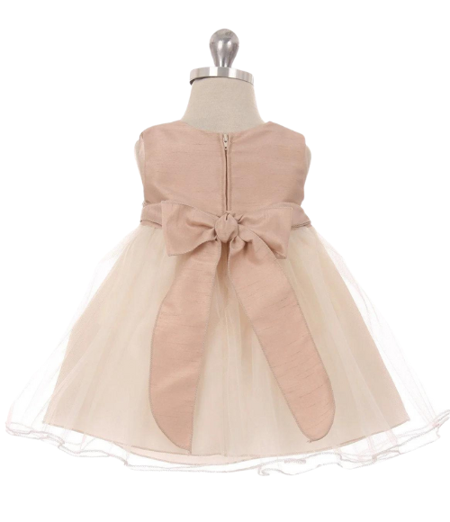 Vintage Rose Tulle Baby Dress