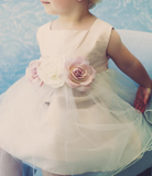 Vintage Rose Tulle Baby Dress