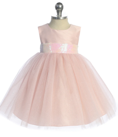 Vintage Rose Tulle Baby Dress