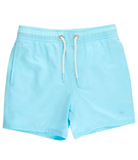 Aqua Color Changing Swim Trunks