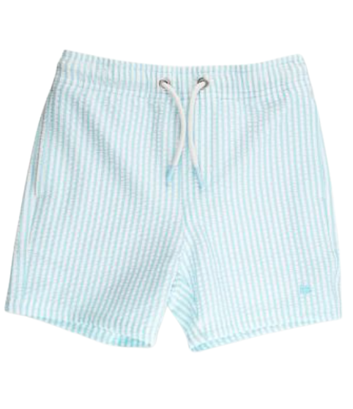 Boys Aqua Seersucker Swim Trunks
