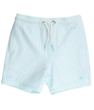 Boys Aqua Seersucker Swim Trunks
