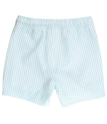Boys Aqua Seersucker Swim Trunks