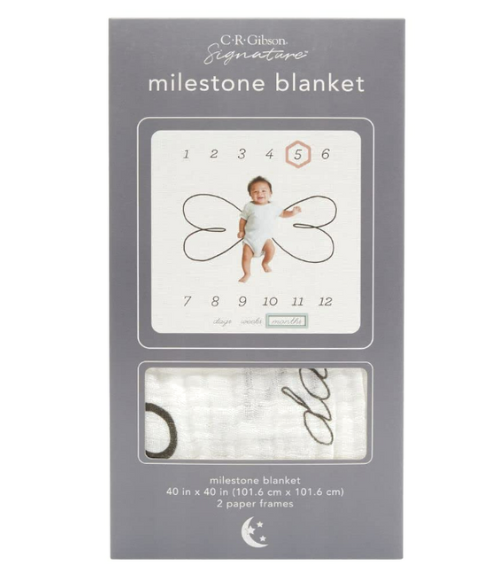 Baby Milestone Blanket