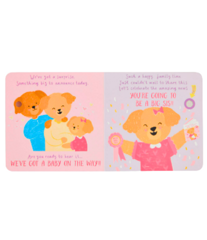 Big Sister Book