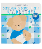 Big Brother Book
