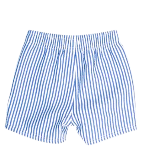 Boys Navy Seersucker Swim Trunks