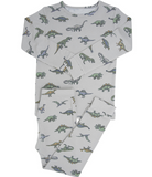 Legendary Dinosaur Pajamas