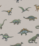 Legendary Dinosaur Pajamas