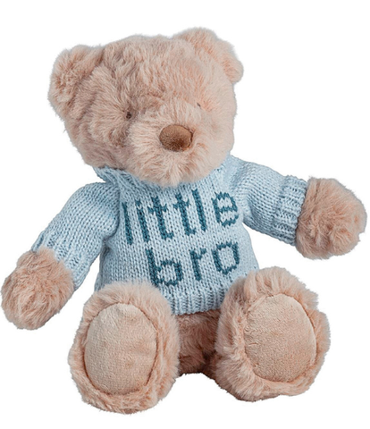 Little Bro & Little Sis Teddy Bear