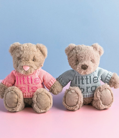 Little Bro & Little Sis Teddy Bear