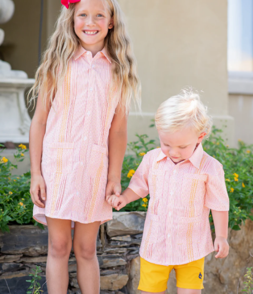 BQ Guayabera Dress in Pink/Citrus Check