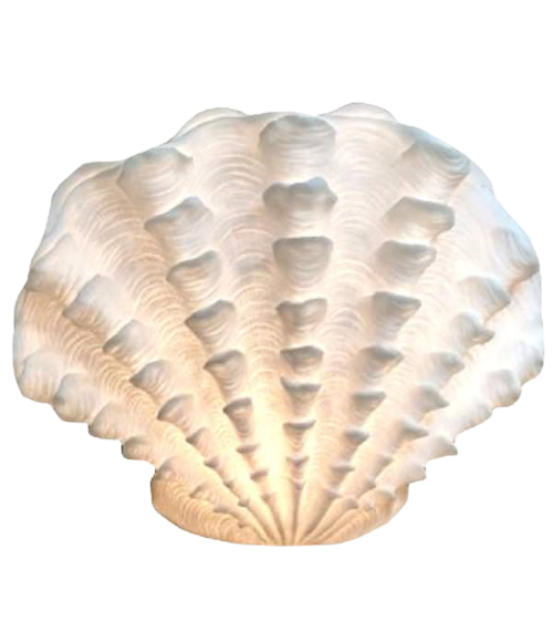 Scallop Shell Lamp