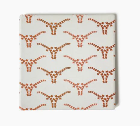 Texas Longhorn Coaster Set